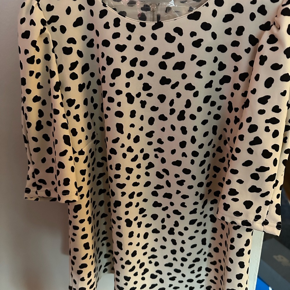 Beautiful w/Tags Blouse